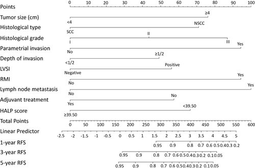 Figure 4 Nomogram model for predicting the 1-, 3-, and 5-year RFS rates of cervical cancer patients.