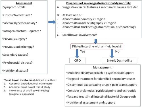 Figure 1 An updated evidence-based algorithm for the pragmatic approach to diagnosing and managing severe gastrointestinal dysmotility Notes: Adapted from Paine P, McLaughlin J, Lal S. Review article: the assessment and management of chronic severe gastrointestinal dysmotility in adults. Aliment Pharmacol Ther. 2013;38(10):1209-1229.Citation3 © 2013 John Wiley & Sons Ltd.