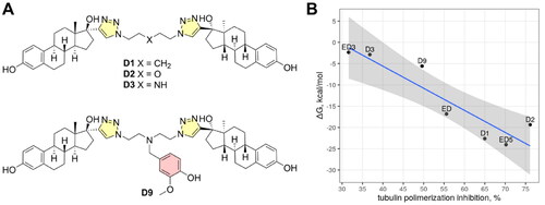 Figure 8. Molecular structures of previously reported estradiol dimers (panel A) and correlation plot between calculated binding free energies and tubulin polymerisation speed (panel B). The shaded region depicts the confidence interval at 0.95 significance level.