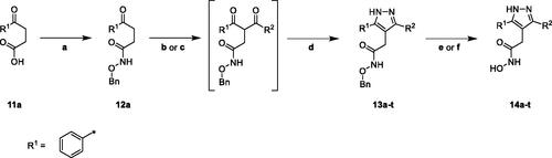 Scheme 1. Synthesis of 3,5-diarylpyrazole hydroxamic acid derivatives with variation of one arylmoiety. Reagents and conditions: (a) Bn-ONH2*HCl, TBTU, DIPEA, DMF, RT (66%); (b) R2-COCl or acid anhydride, LiHMDS, toluene, 0 °C to RT (for 13a–f,q, 26–74%); (c) i: R2-COOH, CDI, THF, RT, ii: LiHMDS, toluene, 0 °C to RT (for 13g–p,r–t, 16–90%); (d) N2H4*H2O, AcOH, toluene, EtOH, THF, RT to 50 °C; (e): H2, 4 bar, Pd/C, MeOH/THF (1:1, v/v), RT (for 14d–g, 41–82%); (f) BBr3, DCM, 0 °C to RT (for 14a–c and h–t, 2–45%).