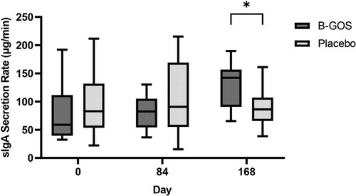Figure 2. Saliva IgA secretion rate at days 0, 84 and 168 before and after 12 and 24 weeks of the study. (B-GOS n = 16, Placebo n = 17), data presented as median (min-max). Asterisk (*) denotes significant difference between groups (P < 0.05).