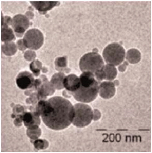 Figure 3. SEM Image of Al2O3 nano particles.