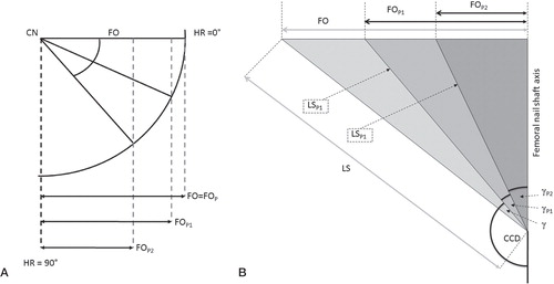 Figure 3. Trigonometric explanation of the hip rotation-dependent projection of femoral offset.