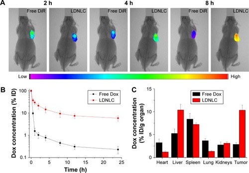 Figure 7 (A) In vivo imaging of biodistribution of MCF-7 ADR tumor xenograft mice after injection of free DiR or DiR-loaded LDNLC. (B) DOX concentration in blood as a function of time after a single intravenous administration of free DOX or LDNLC. (C) Distribution profiles of total DOX in tissues at 24 h after a single intravenous administration of free DOX or LDNLC. Data were shown as mean ± SD (n = 3).Abbreviations: LDNLC, NLC co-delivering Lapa and DOX; DOX, doxorubicin; NLC, nanostructured lipid carrier; Lapa, β-lapachone; DiR,.