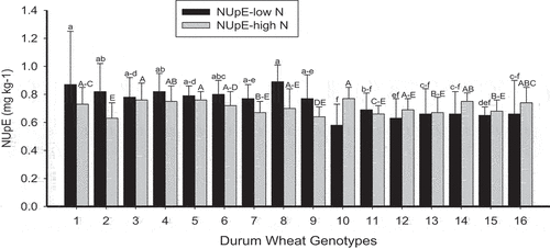 Figure 3. Average N uptake efficiency (NUpE) of durum wheat genotypes across the three locations under high and low N (the different small and capital letters indicate the presence of significant difference between sites under low N and high N, respectively).