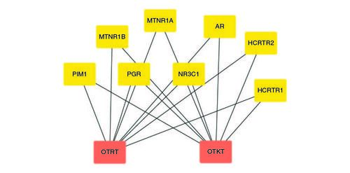 Figure 1. The top-ranked targets related to Ocimum tenuiflorum (Rama tulsi) and Ocimum tenuiflorum (Krishna tulsi).