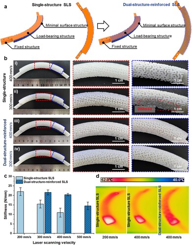 Figure 4. 3D printing of the designed PCL RI via dual-structure-reinforced SLS strategy. (a) Schematic for the laser scanning of the cross-sections of the RI in conventional single-structure SLS and dual-structure-reinforced SLS strategy. (b) The morphology and (c) stiffness of the SLS-fabricated PCL RI using different laser scanning speeds and strategies. (d) Infrared thermal images during the SLS of the PCL RI using different laser scanning speeds and strategies.