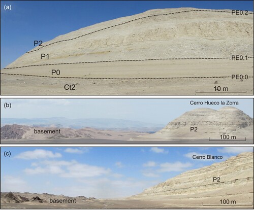 Figure 6. (a) Oblique field photograph of the western side of Cerro Mama y la Hija (approximately 14°36'11"S – 75°40'32"W) showing high-order sequences (P0, P1, and P2) and interpreted sequence boundaries (PE0.0, PE0.1, and PE0.2) inside the Pisco composite sequence; (b) southward panoramic view of Cerro Hueco la Zorra and (c) southward panoramic view of Cerro Blanco showing upper Miocene P2 strata onlapping and wrapping around the crest of a basement topographic high.