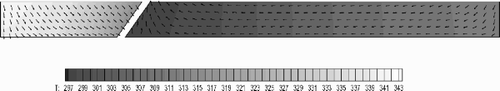 Figure 11. Temperature distribution predicted by the BEM direct solution.