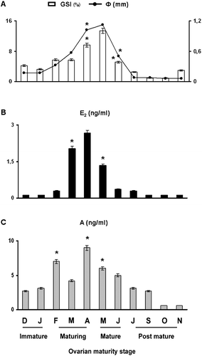 Figure 2 Monthly changes ofφ = mean oocyte diameter and GSI = gonadosomatic index (A), plasma levels of E2 = 17β‐estradiol (B); and A = androgen (C) in the chub Leuciscus cephalus. Each value represents the mean of three determinations in triplicate of each sample (n = 20)±SD. * Level of significance versus the mean values observed in the preceding month (P<0.05).