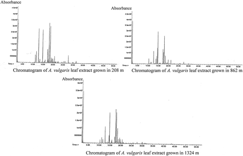 Figure 7. Chromatograms of components of essential oils of A. vulgaris growing in different altitudes such as Chitwan (208 m), Gorkha (862 m), and Kathmandu (1324 m).