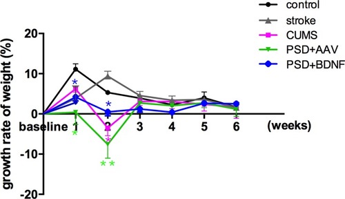 Figure 4 Effects of PSD and BDNF-HA2TAT/AAV on body weight gain. From the first week of CUMS, body weight reduced in each stress group; from the third week, body weight loss had stabilized; BDNF-HA2TAT/AAV intervention had no effect on the rate of body weight change. Error bars represent one standard error of the mean. All data from the animal groups: control (n=16), stroke (n=14), CUMS (n=16), PSD+AAV (n=14), PSD+BDNF (n=14). Other groups were compared with the control group: *P<0.05, **P<0.01.