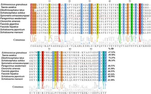Figure 6. Multiple sequence alignments of cystatin. Different colored columns represent conserved sites among cystatin sequences. The letters in the consensus sequence represent the identical amino acid residues in the compared sequences. "ID%" refers to the percentage of similarity between each sequence and SeCystatin. All sequences were aligned using Clustal Omega and edited using Jalview.