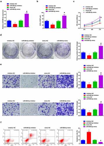 Figure 4. Repressive miR-888-5p refrains A549/DDP cell advancement with descending DDP resistance.