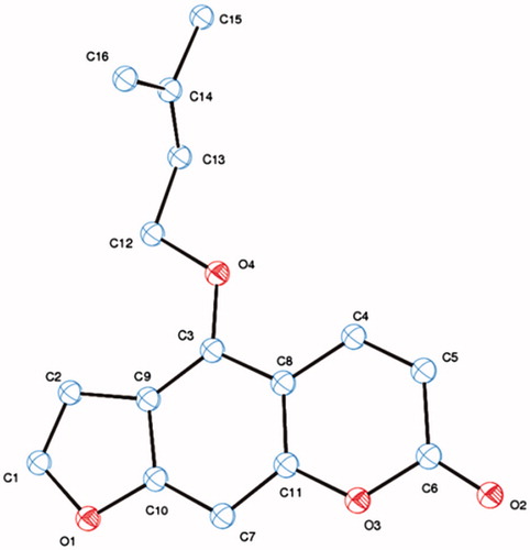 Figure 2. Ortep view of the crystal structure of isoimperatorin.