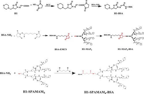 Figure 2. Synthesis of immunogens against AMOZ.