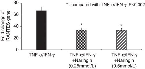 Figure 2.  Naringin decreased the relative fold change of RANTES gene in HaCaT cells stimulated with tumor necrosis factor alpha (TNF-α)/interferon gamma (IFN-γ).