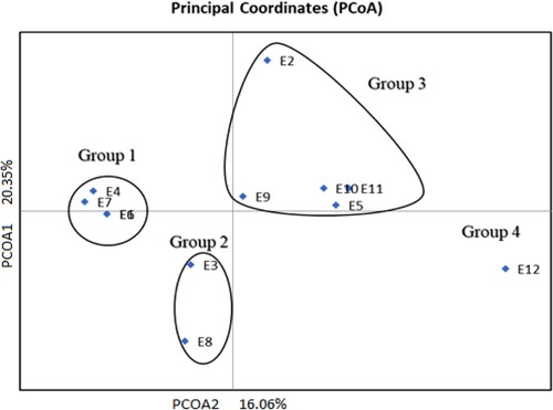 Figure 2. Principal coordinate analysis of the 12 sorghum genotypes using 22 SSR markers.