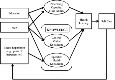 Figure 1 The process-knowledge model of health literacy.