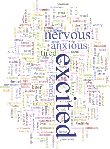 Figure 2: Word cloud created by year 4 undergraduate medical students in their introductory session before entering their practical obstetrics rotation (n = 575).