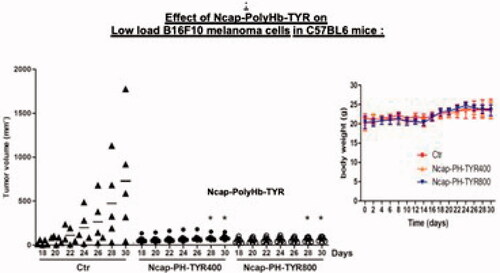 Figure 6. In vivo effect on growth of melanoma and body weight. Single asterisk indicates p < 0.05 compared with control. n = 6 mice for each group. Ctr: control with saline. Ncap-PH-TYR400 and Ncap-PH-TYR 800, polylactide nanocarrier containing poly-[haemoglobin-tyrosinase] with 400 and 800 units of tyrosinase.