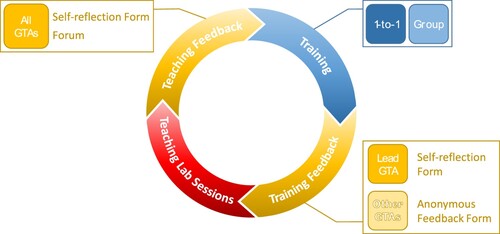 Figure 5. Schematic of the revised GTA training cycle in light of the outcomes of this research.