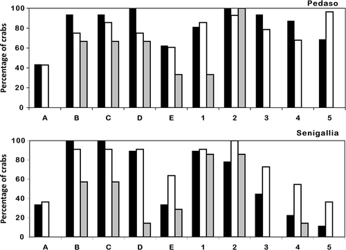 Figure 4. Percentage of crabs covered by ascidians on the various regions of the exoskeleton: rostrum (A), left side of carapace (B), right side of carapace (C), central region of carapace (D), back region of carapace (E), claws (first pair of pereopods) (1), second pair of pereopods (2), third pair of pereopods (3), fourth pair of pereopods (4), fifth pair of pereopods (5). Females, black bars; males, white bars; juveniles, grey bars.