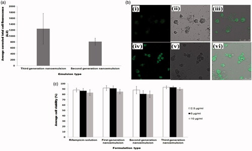Figure 4. Profiles of (a) average corrected cell fluorescence intensity within alveolar macrophages after treatment with second and third-generation nanoemulsions, (b) confocal laser scanning microscopic images showing endocytosis of second generation nanoemulsion (i–iii) and third-generation nanoemulsion (iv–vi) in macrophages where (i) and (iv) were fluorescent micrographs, (ii) and (v) were differential interference contrast images, (iii) and (vi) were merge images of fluorescent and differential interference contrast images, (c) average viability of alveolar macrophages following treatment with rifampicin solution and rifampicin loaded nanoemulsions.