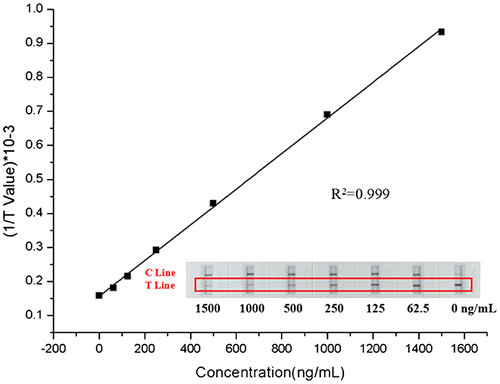 Fig. 9. Linear curve of MET quantitative detections with the MWCNTs-LFS (the inset image: the gray levels of the test lines).