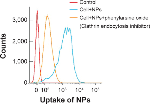 Figure S2 Fluorescent intensity of FITC detected by FACS.Abbreviations: NP, nanoparticle; FITC, fluorescein isothiocyanate; FACS, fluorescence-activated cell sorting.