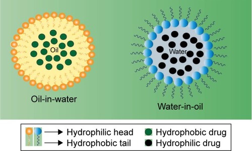 Figure 4 Micro- and nanoemulsion structure: oil-in-water and water-in-oil.