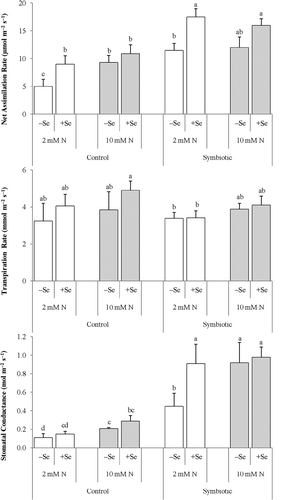 Figure 2 (a) Net assimilation rate, (b) transpiration rate and (c) stomatal conductance in alfalfa (Medicago sativa L.) grown without and with selenium (Se) at low (2 mM, open bar) or adequate (10 mM, dark bar) nitrogen (N) supply either without (control) or with inoculation (symbiotic). Bars indicated by the same letter are not significantly different (P < 0.05).
