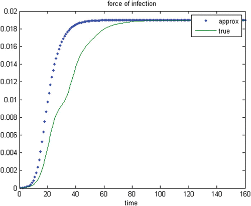 Figure 6. True and approximated forces of infection with an endemic equilibrium.