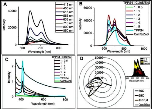 Figure 5 (A) Photoluminescence (PL) spectra of TPPS4 at different excitation wavelengths, (B) PL spectra and (C) absorption spectra at different CuInS/ZnS:TPPS4 ratios and (D) radar chart of CuInS/ZnS–TPPS4 conjugate at different synthetic temperatures (insert: area chart of the conjugate).