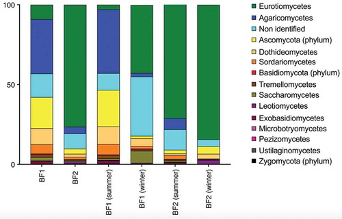 Figure 6. Average relative abundances of fungal classes in air samples collected from two different biomethanization facilities visited during summer and winter.