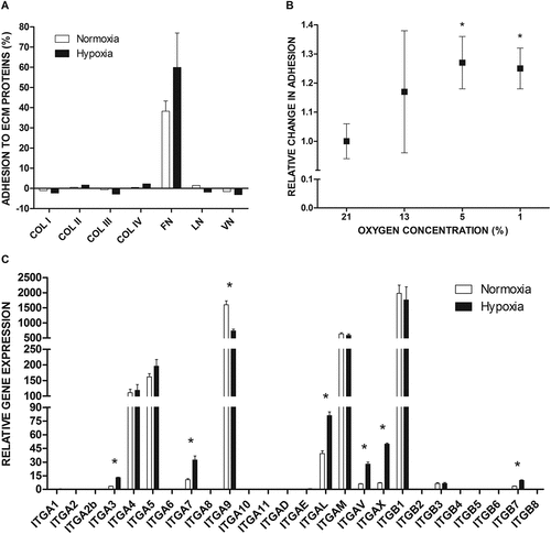 Figure 1. Integrin-mediated adhesion and integrin expression in LAD2 mast cells at the gene level under the influence of hypoxia. (a) LAD2 mast cell adhesion to selected extracellular matrix proteins assessed after 72 hours of incubation in 21% (Normoxia) or 5% (Hypoxia) oxygen. For FN mean ± SEM. COL I–IV, collagen type I–IV; FN, fibronectin; LN, laminin; VN, vitronectin; (b) Relative change in adhesion after incubation in different oxygen concentrations compared to atmospheric condition. Adhesion in 21% oxygen was arbitrarily accepted as 1. Mean ± SEM. * p < 0.05, paired t-test. (c) The mRNA expression of different genes encoding integrin subunits was measured after 72 hours incubation in 21% (Normoxia) or 1% (Hypoxia) oxygen. Mean ± SEM. * p < 0.05, paired t-test