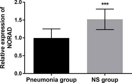 Figure 1 The finding of qRT-PCR elucidated the highly expressed NORAD in the NS group. ***P < 0.001.