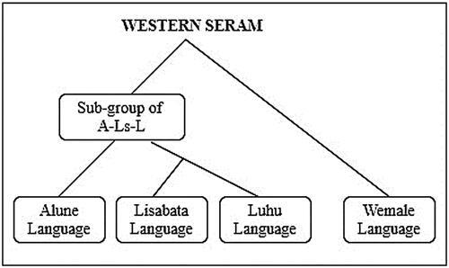 Figure 4. Cladistic (tree-based) representation of the Western Seram language group’s diversification based on a lexicostatistical approach.