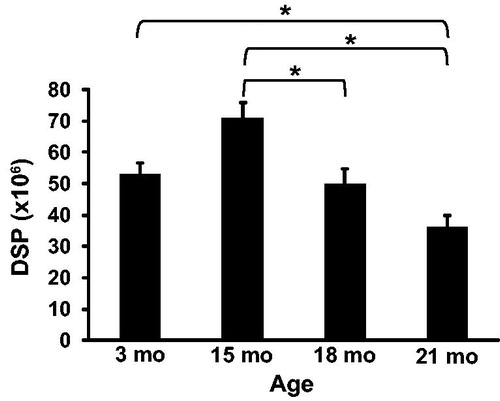 Figure 1. Daily sperm production (DSP) in rats. DSP was significantly lower at 18 and 21 months compared to 15 months of age. Additionally, DSP at 21 months was significantly lower than 3 months of age. n = 5 animals per group at 3 and 21 months; n = 3 animals per group at 15 and 18 months. *Indicates p < 0.05.