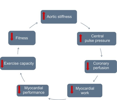 Figure 1 The cyclical interrelation of aortic stiffness, myocardial performance, and functional capacity.