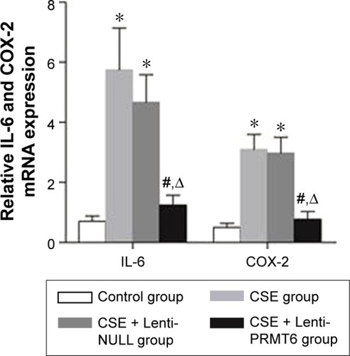 Figure 5 Expression of IL-6 and COX-2 mRNA in mouse lung tissue.