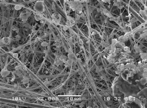 Figure 3. SEM micrograph of particles collected by filter.