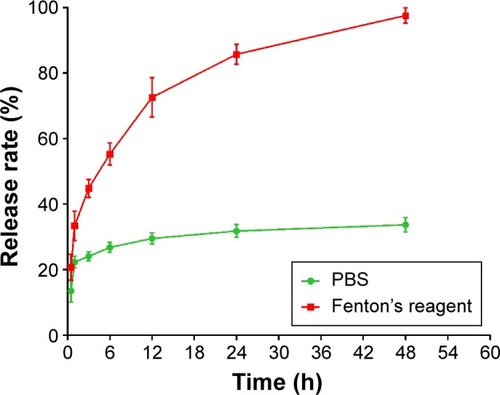 Figure 4 In vitro release of SDF-1α from nanoparticles in PBS and Fenton’s agent.Note: n=3.Abbreviations: PBS, phosphate buffered saline; SDF-1α, stromal cell-derived factor-1α; h, hours.