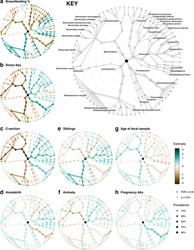 Figure 2. Several exposures associated independently with gut microbiota composition.