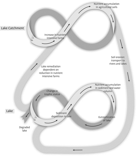 Figure 4. Lake and catchment as nested adaptive cycles.