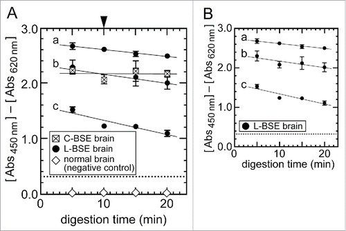 Figure 4. Effect of the sample digestion condition of NippiBL® on detection of the L-BSE prion. (A) Brain samples of the C-BSE and L-BSE cows were digested according to the manufacturer's protocol but for an extended time. For the L-BSE brain, samples of three different dilutions by normal brains were tested (a: 2−0.6 dilution, b: 2−1 dilution, c: 2−2 dilution). The arrowhead at the top of (A) indicates the digestion time set by the protocol (10 min). Data were plotted as the mean ± SEM from duplicate wells. The dotted lines indicate the thresholds of positivity defined by the protocol. The samples of normal brain (i.e., negative control) gave rise to negative signals throughout the assay. (B) Only data on the brain samples of the L-BSE cow in (A) were plotted for clarity.