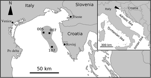 Figure 1. Map of the research area and studied stations. The lined area is the one affected by anoxia in 1989.