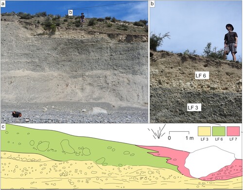 Figure 11. Characteristics of LFs 6 and 7: (a) Stratigraphic overview of LF 6, which is located immediately below the ground surface in this view (indicated above white dashed line) and comprises a massive matrix-supported diamicton (Dmm) overlying LF 3; (b) Nature of the contact between LF 3 and LF 6; (c) Stratigraphical and structural interpretation of panel a, location labelled on Figure 3.