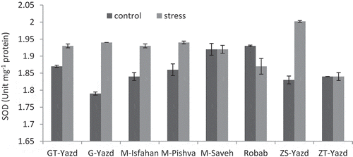 Figure 3. Interaction effects of drought stress and pomegranate cultivars on SOD activity