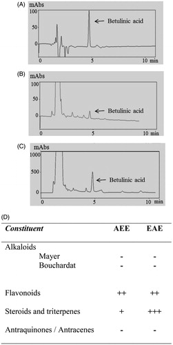 Figure 2. HPLC chromatograms of betulinic acid (0.2 mg/mL) of (A) analytical standard grade, (B) the AEE at 5 mg/mL and (C) the EAE at 10 mg/mL with peaks corresponding to betulinic acid at 4.6 min. (D) Phytochemical screening of AEE and EAE, where (+/++/+++) corresponds to light, moderate and intense positive reactions (presence of the constituent), respectively, and (−) corresponds to a negative reaction (absence of the constituent).
